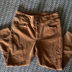 High-Rise Sculpting Skinny Corduroy Cotton Pant Beautiful Brown Size 19 Worn 1x